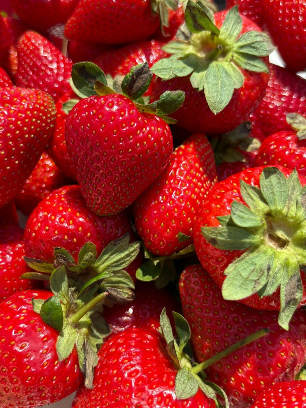 Strawberries